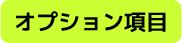 オプション項目