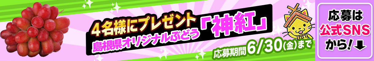 応募は公式SNSから！