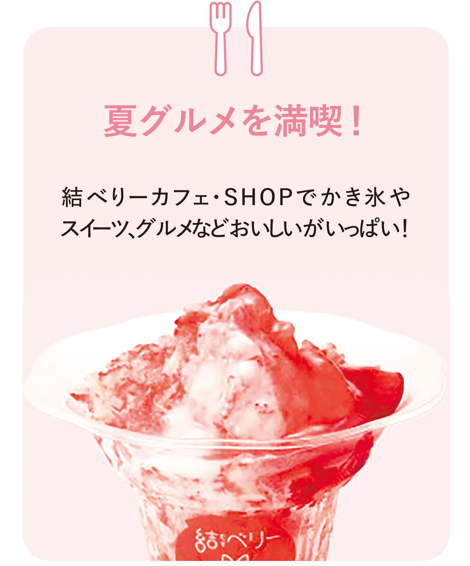 夏グルメを満喫