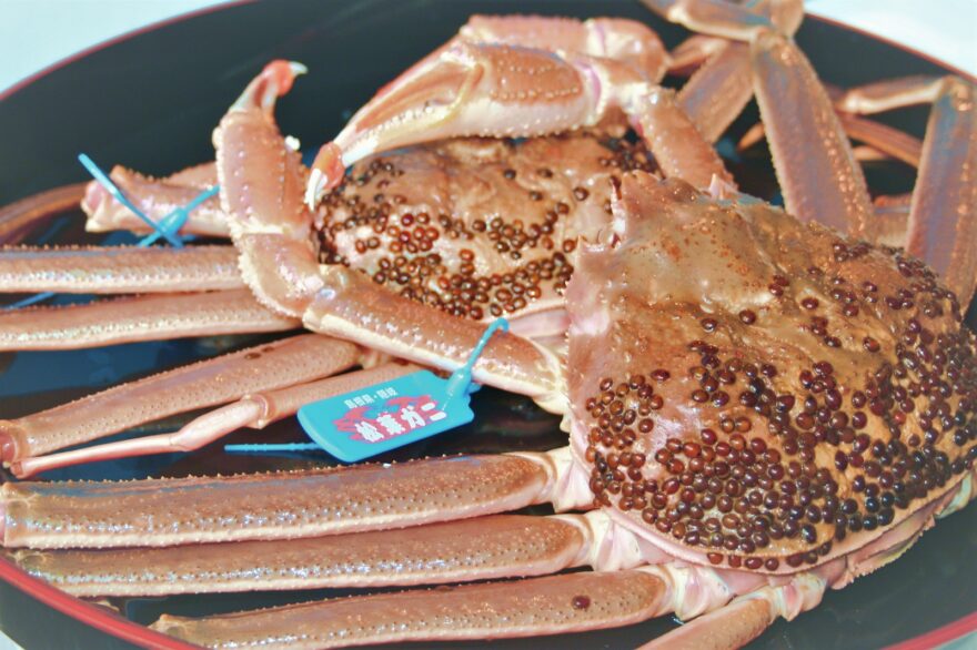「隠岐松葉ガニ」特別な漁法で獲られたブランドガニ