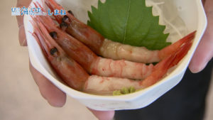 #25海の恵み追跡団Part2（TSK）.mp4.00_01_09_28.静止画003
