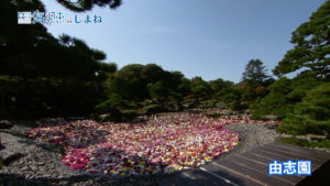 #33海道.mp4.00_01_10_10.静止画004