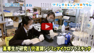 高専研究アイコン