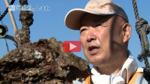 わが町の海自慢 アイコン
