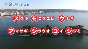 #026+宍道湖七珍料理を紹介.mp4.01_01_59_11.静止画003