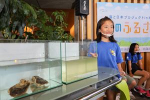 カキの水質浄化