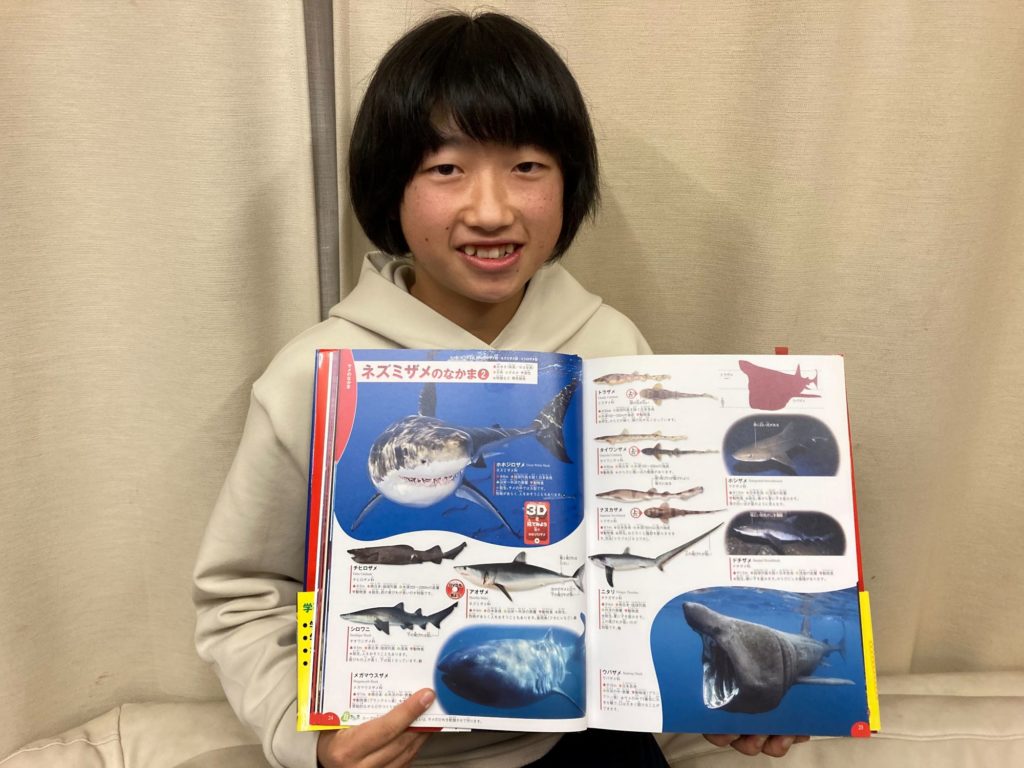 メガマウスザメがお気に入り02