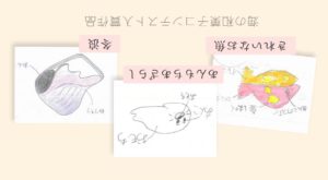 応募作