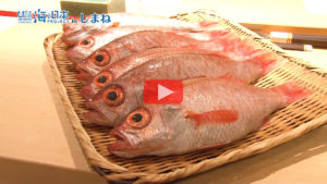 海のごちそうウィークアイコン