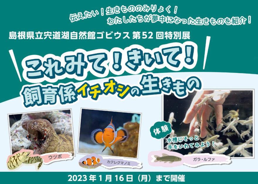 宍道湖自然館ゴビウス「これみて! きいて!飼育係イチオシの生きもの」