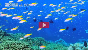 #002未知の海洋生物探査プロジェクトアイコン