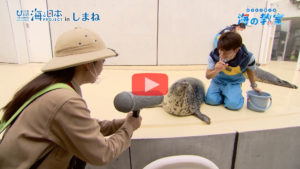 海の教室_アイコン
