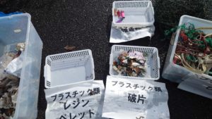 仕分け細分