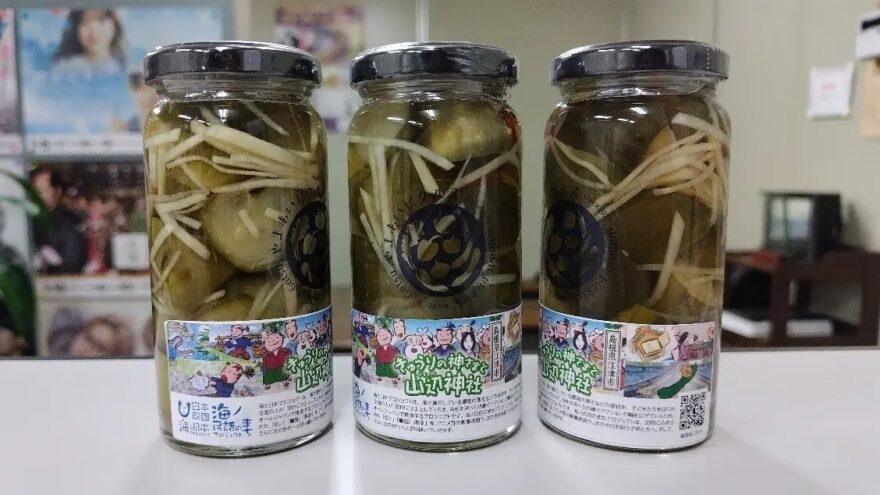 島根県江津市 海ノ民話アニメ「きゅうりの神さまと山辺神社」コラボ商品完成！「やまあいピクルス～きゅうりの神さまと山辺神社～」
